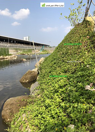 eeLan Pte Ltd - a company specializing in design and supply of earth ...